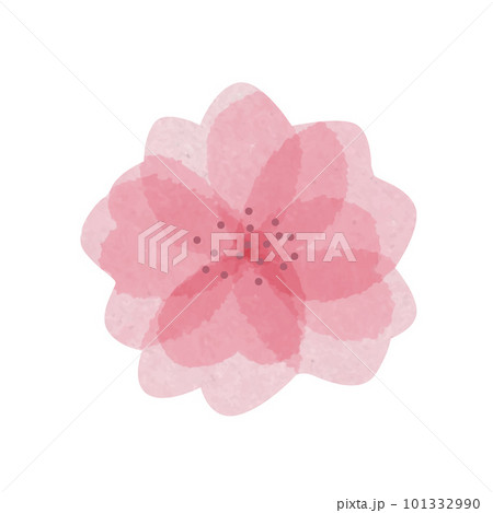 Isolated hand drawn beautiful watercolor sakura flower with messy transparent petals Isolated hand drawn beautiful watercolor sakura flower with messy transparent petals 101332990