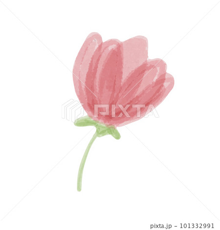 Hand drawn isolated beautiful tender watercolor pink flower 101332991