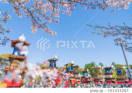 犬山祭、満開の桜と車山〈愛知県犬山市〉 犬山祭、満開の桜と車山〈愛知県犬山市〉 101333267