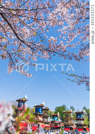 犬山祭、満開の桜と車山〈愛知県犬山市〉 犬山祭、満開の桜と車山〈愛知県犬山市〉 101333271