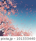 桜の花と青空 101333440