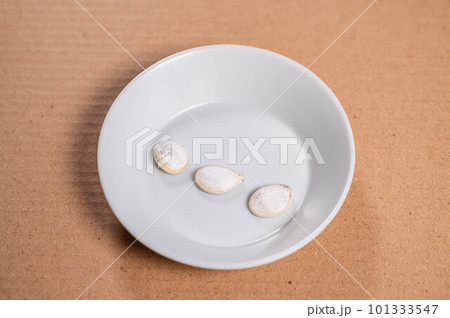 白みくり南瓜のたね 101333547