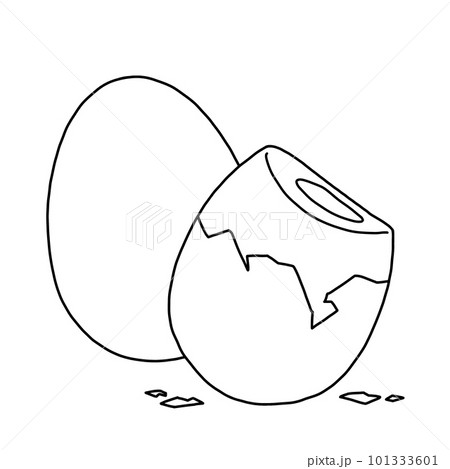 むき身のゆで卵のイラスト 線画のみ むき身のゆで卵のイラスト 線画のみ 101333601