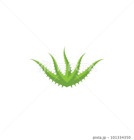 Aloe vera Aloe vera 101334350