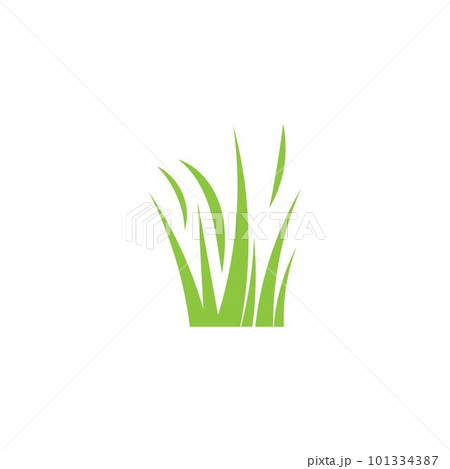 grass 101334387