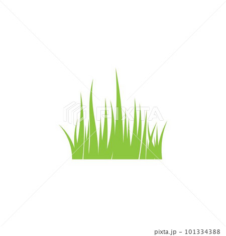 grass 101334388