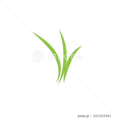grass 101334391