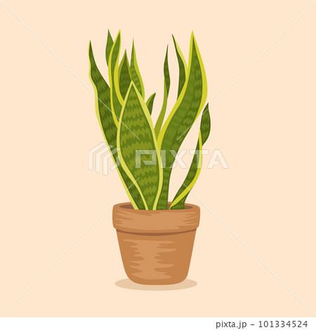 Illustration potted plant for the interior. Isolated. Vector illustration 101334524
