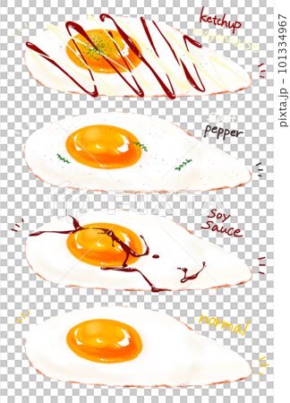 Realistic fried egg illustration set Various seasoning Realistic fried egg illustration set Various seasoning 101334967