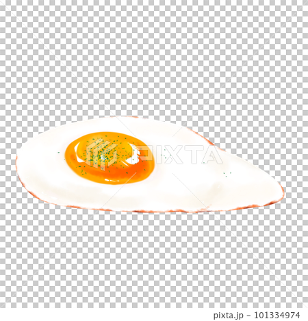 Realistic fried egg illustration material Parsley 101334974