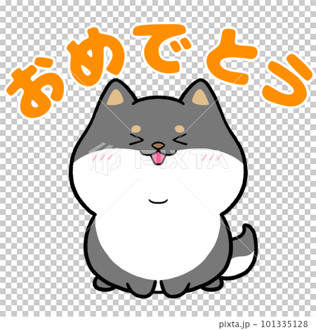 Shiba Inu and the word "Congratulations" Shiba Inu and the word "Congratulations" 101335128
