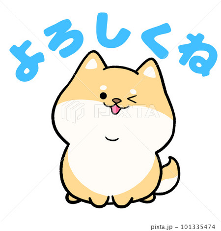 柴犬と「よろしくね」の文字 101335474