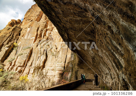 Sunny view of the autumn landscape of Zion National Park 101336286