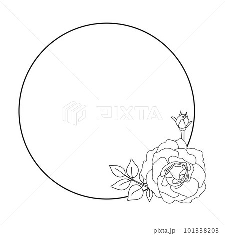 Rose hand drawn illustration in vecor. Sketches, line art. 101338203