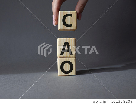 CAO - Chief Accounting Officer symbol. Wooden cubes with word CAO. Beautiful grey background. Businessman hand. Business and Chief Accounting Officer concept. Copy space. CAO - Chief Accounting Officer symbol. Wooden cubes with word CAO. Beautiful grey background. Businessman hand. Business and Chief Accounting Officer concept. Copy space. 101338205