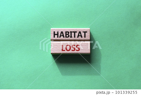 Habitat loss symbol. Wooden blocks with words Habitat loss. Beautiful green background. Business and Habitat loss concept. Copy space. Habitat loss symbol. Wooden blocks with words Habitat loss. Beautiful green background. Business and Habitat loss concept. Copy space. 101339255
