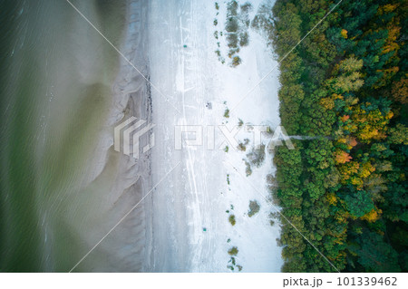 Above aerial shot of green pine forests and yellow foliage groves with beautiful texture of golden treetops. Beautiful fall season scenery in evening. Mountains in autumn in golden time Above aerial shot of green pine forests and yellow foliage groves with beautiful texture of golden treetops. Beautiful fall season scenery in evening. Mountains in autumn in golden time 101339462