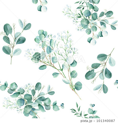 Seamless watercolor pattern with eucalyptus and gypsophila branches on white background. Can be used for wedding prints, gift wrapping paper, kitchen textile and fabric prints. 101340087