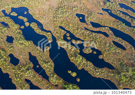 A drone photo of expansive summer swamps with winding streams, tall reeds and grasses, and green and brown wetlands. Capturing the nature scenery of this remote and unspoiled wilderness A drone photo of expansive summer swamps with winding streams, tall reeds and grasses, and green and brown wetlands. Capturing the nature scenery of this remote and unspoiled wilderness 101340473