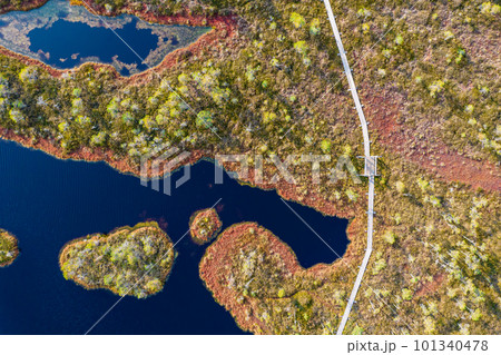 A drone photo of expansive summer swamps with winding streams, tall reeds and grasses, and green and brown wetlands. Capturing the nature scenery of this remote and unspoiled wilderness 101340478