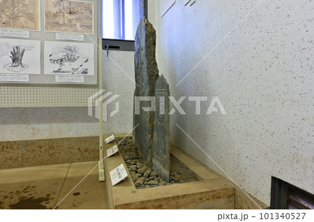 板石塔婆　東光寺　埼玉県北本市　石戸蒲ザクラ　 101340527