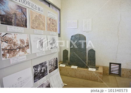 板石塔婆 東光寺 埼玉県北本市 石戸蒲ザクラ 板石塔婆 東光寺 埼玉県北本市 石戸蒲ザクラ 101340573