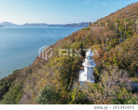 大角鼻灯台 101341053