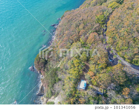 大角鼻灯台 101341056