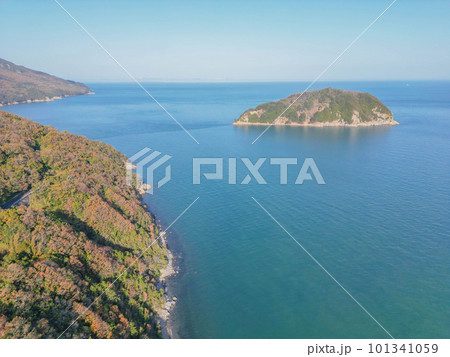 大角鼻灯台 101341059