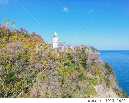 大角鼻灯台 101341065