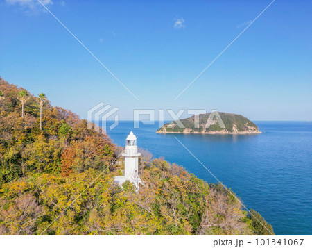 大角鼻灯台 101341067