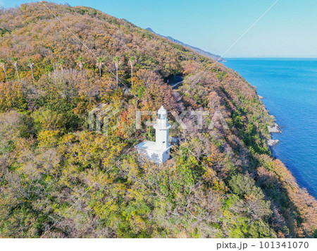 大角鼻灯台 101341070