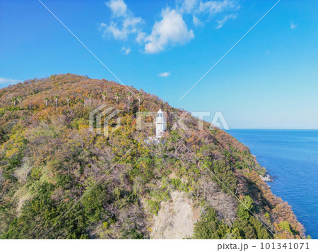 大角鼻灯台 101341071