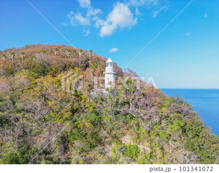 大角鼻灯台 101341072