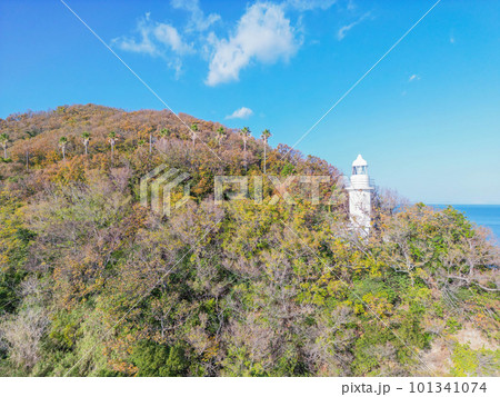 大角鼻灯台 101341074