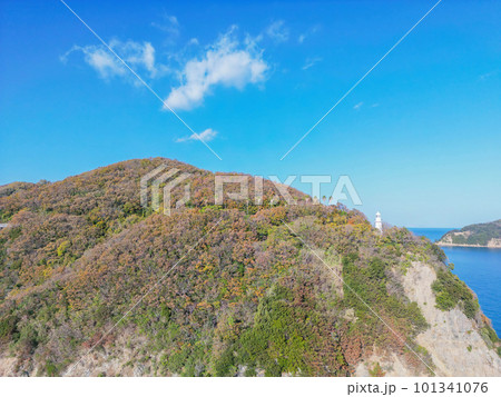 大角鼻灯台 101341076