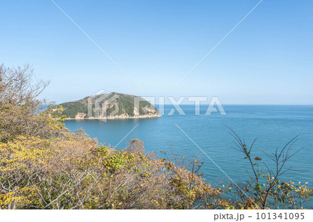 大角鼻灯台 101341095