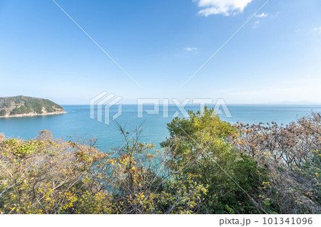 大角鼻灯台 101341096