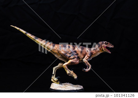 The Velociraptor  dinosaur  in the dark 101341126