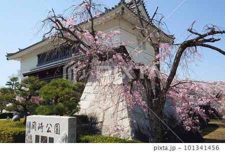 岡崎公園 101341456