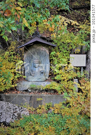 長野県伊那市・高遠城下石仏ウオーク2022　(高遠の風景)(数ケ寺)(石仏作家守屋) 101341577