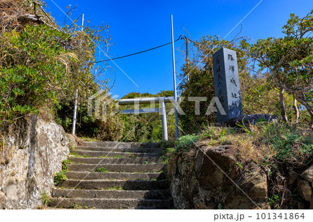 千葉県　勝浦市　八幡岬公園　勝浦城址 101341864