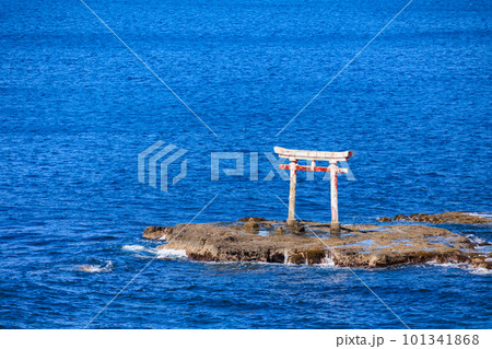 千葉県　勝浦市　八幡岬公園　見晴台から見た旧遠見岬神社 海の鳥居 101341868