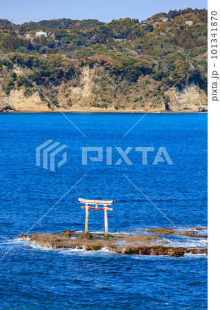 千葉県　勝浦市　八幡岬公園　見晴台から見た旧遠見岬神社 海の鳥居 101341870