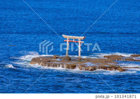 千葉県　勝浦市　八幡岬公園　見晴台から見た旧遠見岬神社 海の鳥居 101341871