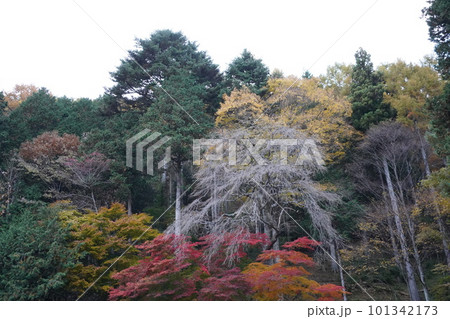 長野県伊那市・高遠城下石仏ウオーク2022 (高遠の風景)(数ケ寺)(石仏作家守屋) 長野県伊那市・高遠城下石仏ウオーク2022 (高遠の風景)(数ケ寺)(石仏作家守屋) 101342173