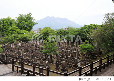 桜島を眺める静かな南州墓地の景色 桜島を眺める静かな南州墓地の景色 101342284