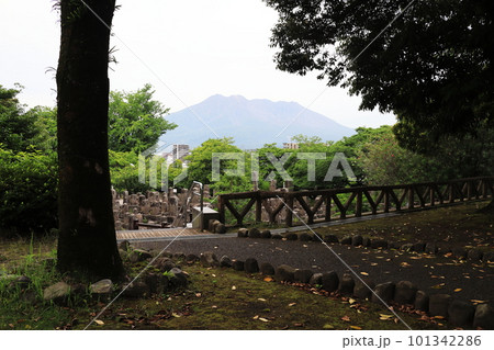 桜島の見える南洲墓地 桜島の見える南洲墓地 101342286
