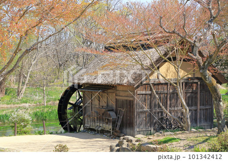春の安曇野 大王わさび農場の水車小屋 春の安曇野 大王わさび農場の水車小屋 101342412