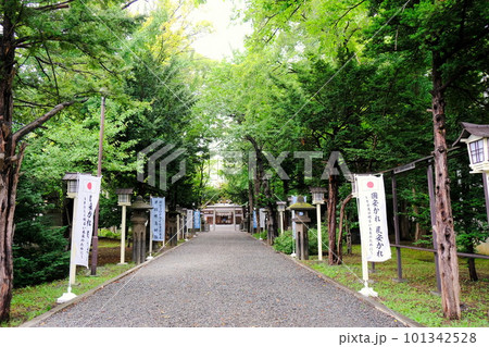 札幌にある琴似神社の参道 札幌にある琴似神社の参道 101342528